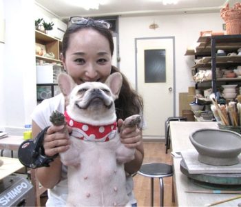 pet-16.jpg